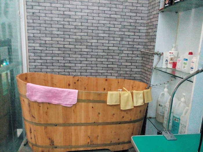洗護服務