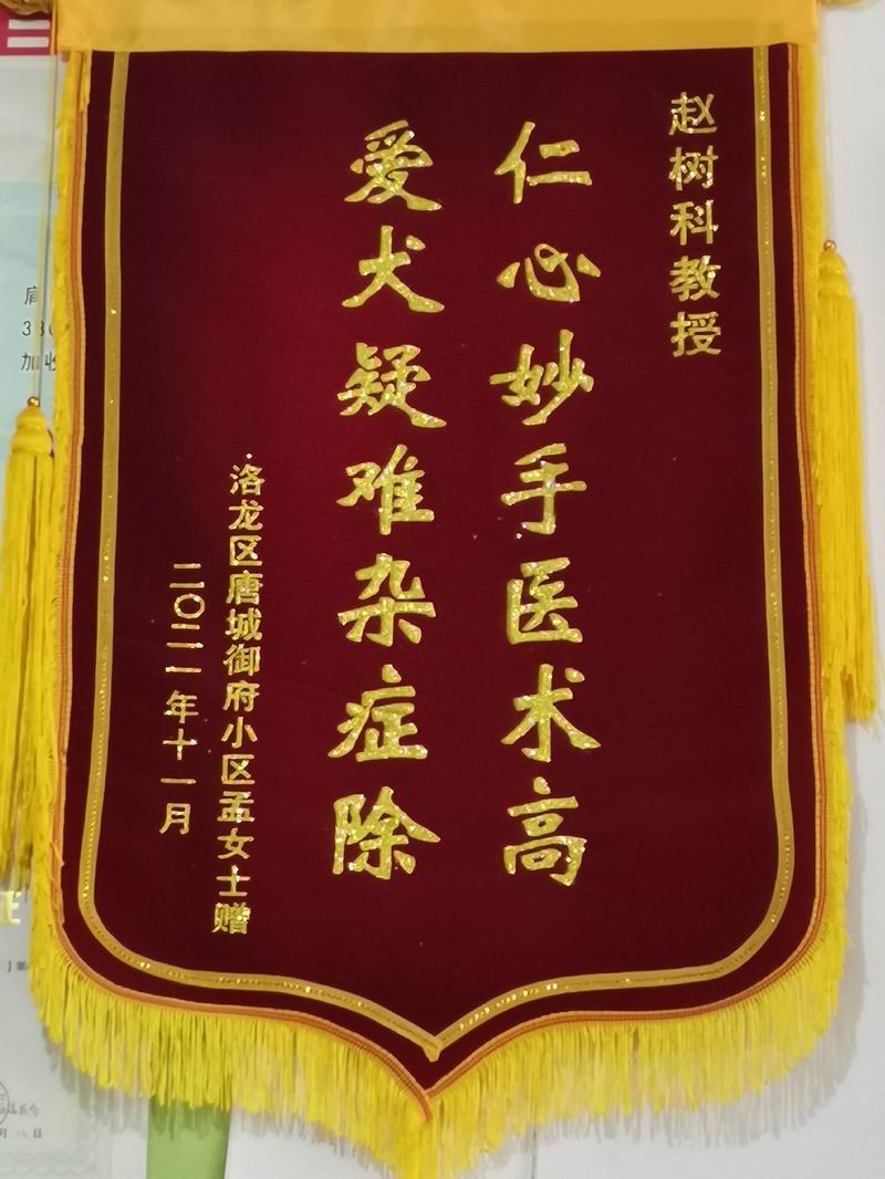 資質(zhì)榮譽