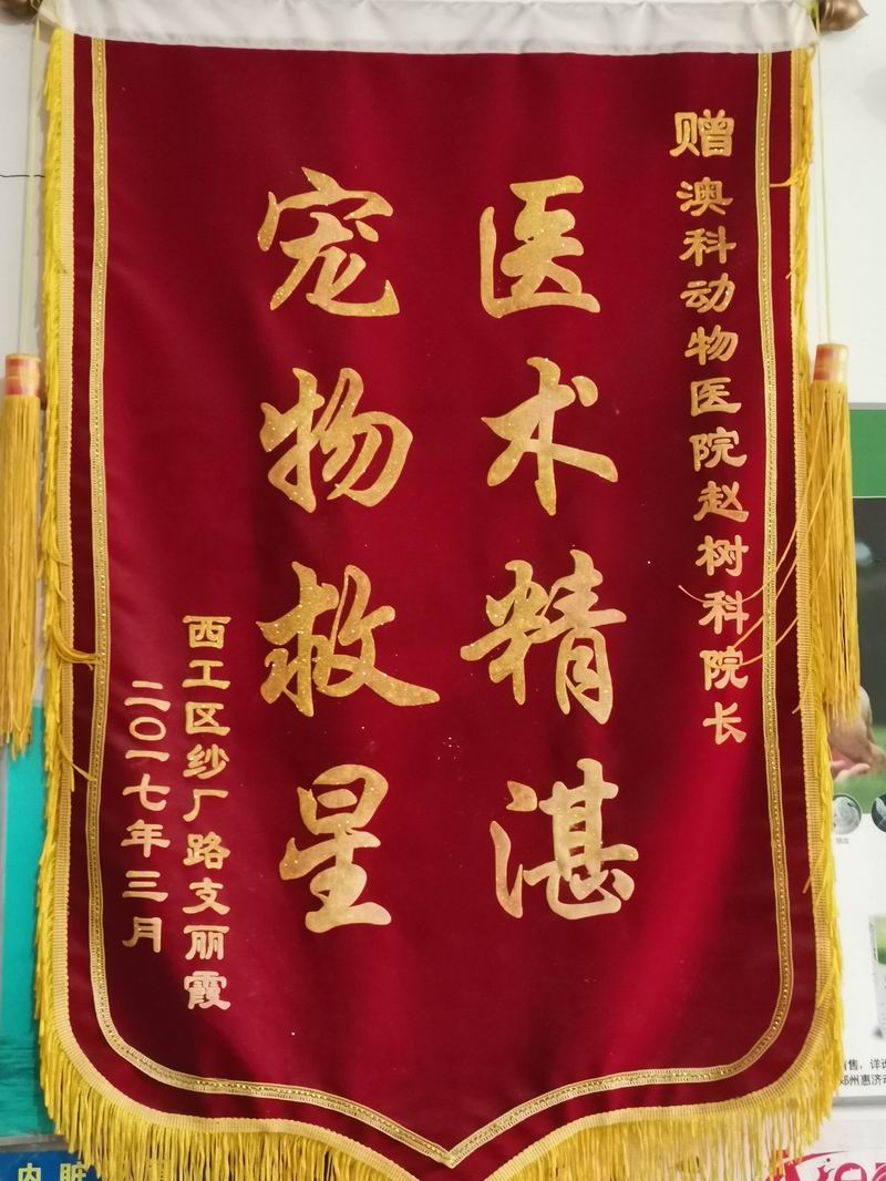 資質(zhì)榮譽