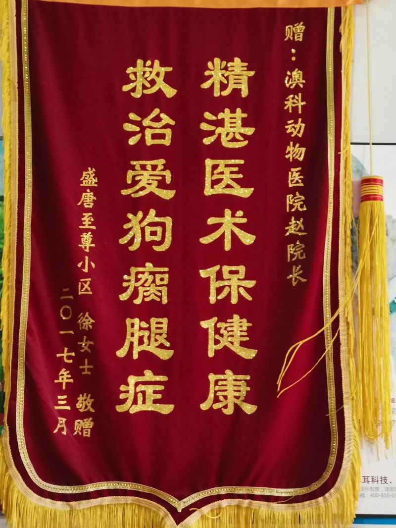 資質(zhì)榮譽