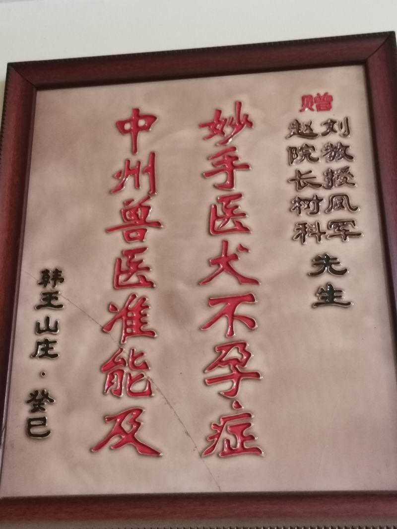 資質(zhì)榮譽