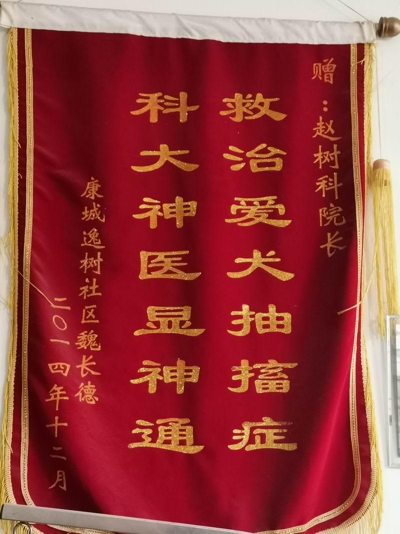 資質(zhì)榮譽