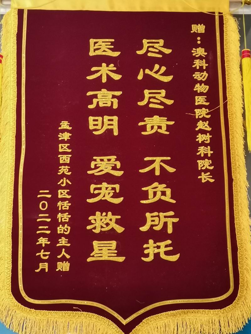 資質(zhì)榮譽